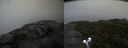 ./images/calvert/buxton2/20210926/buxton220210926_094503M.jpg