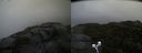 ./images/calvert/buxton2/20210926/buxton220210926_095503M.jpg