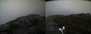 ./images/calvert/buxton2/20210926/buxton220210926_100003M.jpg