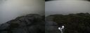./images/calvert/buxton2/20210926/buxton220210926_100502M.jpg
