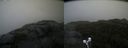 ./images/calvert/buxton2/20210926/buxton220210926_101502M.jpg