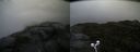 ./images/calvert/buxton2/20210926/buxton220210926_102503M.jpg