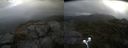 ./images/calvert/buxton2/20210927/buxton220210927_094503M.jpg