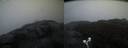 ./images/calvert/buxton2/20210930/buxton220210930_072003M.jpg