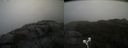 ./images/calvert/buxton2/20210930/buxton220210930_082502M.jpg