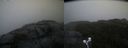 ./images/calvert/buxton2/20210930/buxton220210930_101503M.jpg