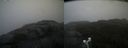 ./images/calvert/buxton2/20210930/buxton220210930_112003M.jpg