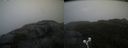 ./images/calvert/buxton2/20210930/buxton220210930_114002M.jpg