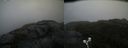 ./images/calvert/buxton2/20210930/buxton220210930_123502M.jpg