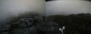 ./images/calvert/buxton2/20210930/buxton220210930_143502M.jpg