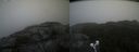 ./images/calvert/buxton2/20210930/buxton220210930_145002M.jpg