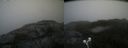 ./images/calvert/buxton2/20210930/buxton220210930_153503M.jpg