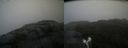 ./images/calvert/buxton2/20210930/buxton220210930_161503M.jpg