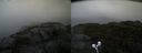 ./images/calvert/buxton2/20211009/buxton220211009_115002M.jpg