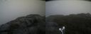 ./images/calvert/buxton2/20211009/buxton220211009_144503M.jpg