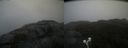 ./images/calvert/buxton2/20211009/buxton220211009_152503M.jpg