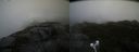 ./images/calvert/buxton2/20211015/buxton220211015_121503M.jpg