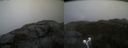 ./images/calvert/buxton2/20211015/buxton220211015_144003M.jpg