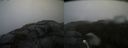 ./images/calvert/buxton2/20211015/buxton220211015_145503M.jpg