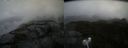 ./images/calvert/buxton2/20211016/buxton220211016_124503M.jpg