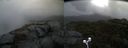 ./images/calvert/buxton2/20211020/buxton220211020_132003M.jpg