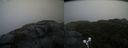 ./images/calvert/buxton2/20211022/buxton220211022_100003M.jpg
