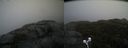 ./images/calvert/buxton2/20211022/buxton220211022_101503M.jpg