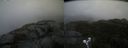 ./images/calvert/buxton2/20211026/buxton220211026_160503M.jpg