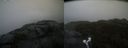 ./images/calvert/buxton2/20211026/buxton220211026_161503M.jpg