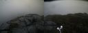 ./images/calvert/buxton2/20211026/buxton220211026_163504M.jpg