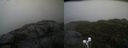 ./images/calvert/buxton2/20211026/buxton220211026_164003M.jpg