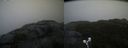 ./images/calvert/buxton2/20211026/buxton220211026_170502M.jpg