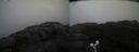 ./images/calvert/buxton2/20211026/buxton220211026_172502M.jpg