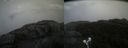 ./images/calvert/buxton2/20211028/buxton220211028_130502M.jpg