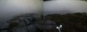./images/calvert/buxton2/20211103/buxton220211103_084503M.jpg