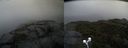 ./images/calvert/buxton2/20211104/buxton220211104_142003M.jpg