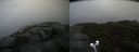 ./images/calvert/buxton2/20211104/buxton220211104_142503M.jpg