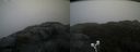 ./images/calvert/buxton2/20211104/buxton220211104_145003M.jpg