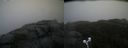 ./images/calvert/buxton2/20211104/buxton220211104_160003M.jpg