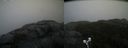 ./images/calvert/buxton2/20211104/buxton220211104_161003M.jpg