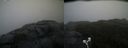./images/calvert/buxton2/20211104/buxton220211104_163503M.jpg