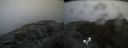 ./images/calvert/buxton2/20211105/buxton220211105_164503M.jpg