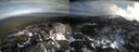 ./images/calvert/buxton2/20211110/buxton220211110_122503M.jpg