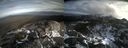 ./images/calvert/buxton2/20211110/buxton220211110_123503M.jpg