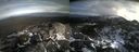 ./images/calvert/buxton2/20211110/buxton220211110_124503M.jpg