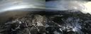 ./images/calvert/buxton2/20211110/buxton220211110_125503M.jpg