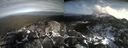 ./images/calvert/buxton2/20211110/buxton220211110_130503M.jpg