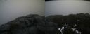 ./images/calvert/buxton2/20211112/buxton220211112_092503M.jpg