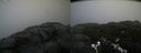 ./images/calvert/buxton2/20211112/buxton220211112_114502M.jpg