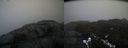 ./images/calvert/buxton2/20211112/buxton220211112_134502M.jpg